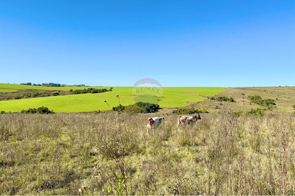 Chácara / Sítio / Fazenda - Venda - Santa Margarida do Sul , Rio Grande do Sul - WhatsApp Image 2025-06-25 at 09.09.55.jpeg - 612631001-60