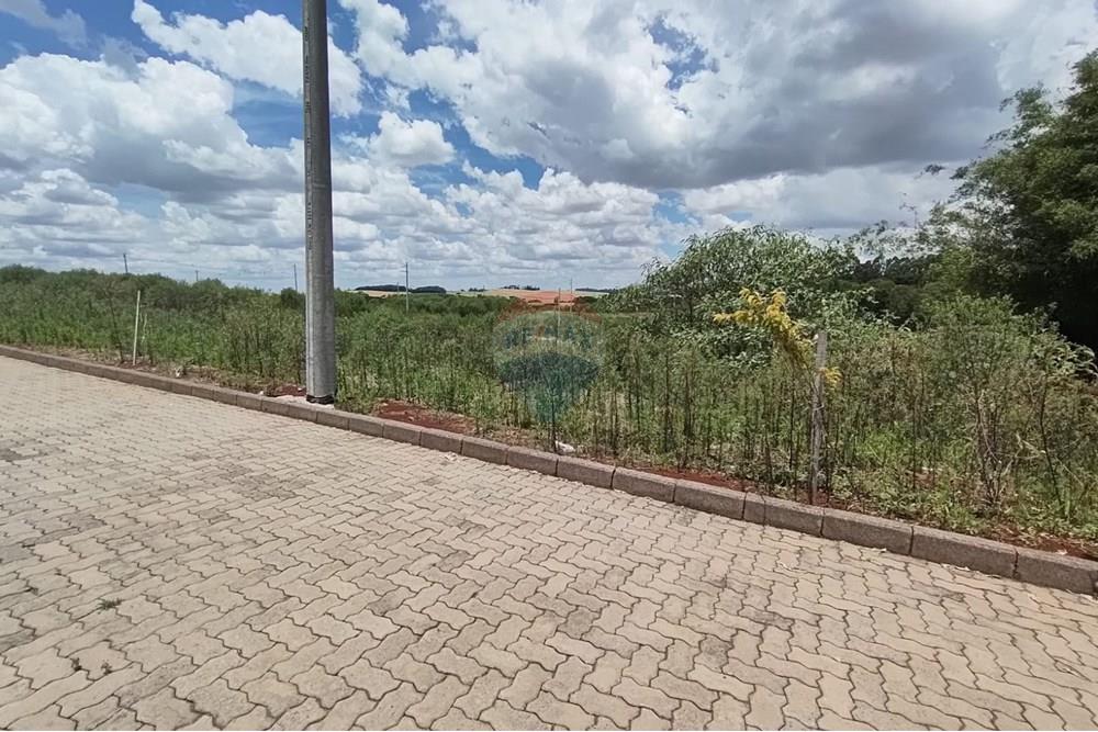 Terreno - Venda - Erechim , Rio Grande do Sul - WhatsApp Image 2025-12-03 at 09.48.06.jpeg - 612761006-64