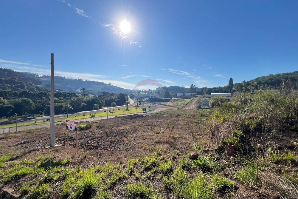 Terreno - Venda - Paulo Bento , Rio Grande do Sul - IMG-20250606-WA0011.jpg - 612761001-41