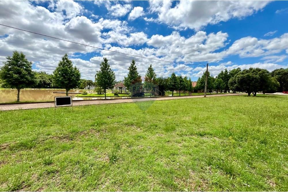 Terreno - Venda - Lagoa dos Três Cantos , Rio Grande do Sul - WhatsApp Image 2024-11-06 at 13.49.23.jpeg - 610271058-104