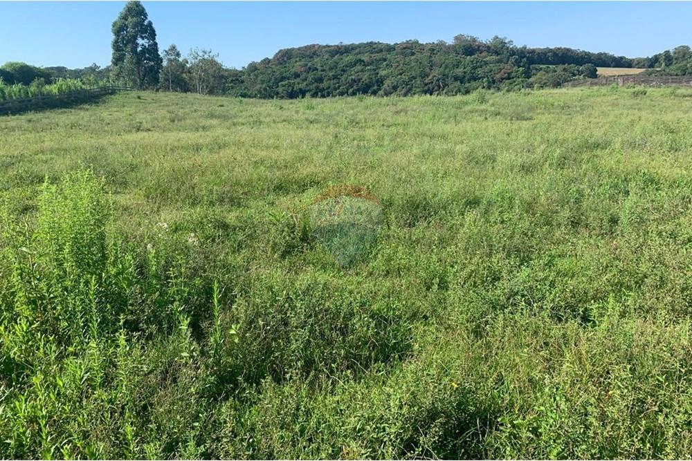 Chácara / Sítio / Fazenda - Venda - Santa Cruz do Sul , Rio Grande do Sul - WhatsApp Image 2025-02-25 at 10.27.51 (6).jpeg - 612741028-21