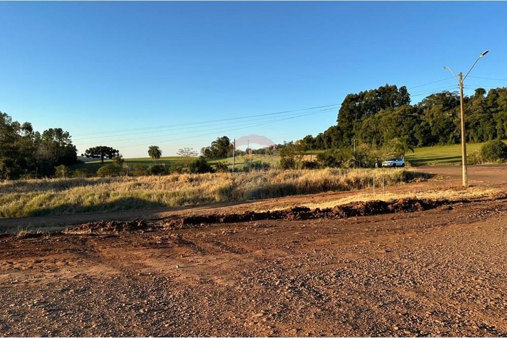 Terreno - Venda - Três Palmeiras , Rio Grande do Sul - WhatsApp Image 2025-07-03 at 17.47.40.jpeg - 610231001-205