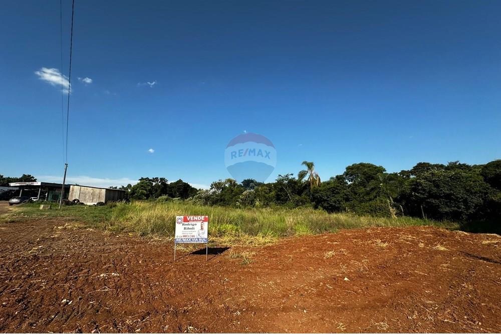 Terreno - Venda - Três Palmeiras , Rio Grande do Sul - WhatsApp Image 2025-01-24 at 16.13.51.jpeg - 610231001-184