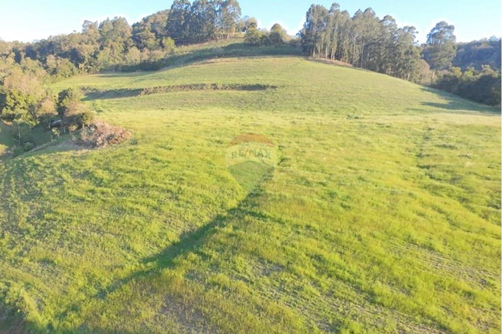 Agro - Venda - Três Palmeiras , Rio Grande do Sul - WhatsApp Image 2025-08-30 at 19.38.25 (1).jpeg - 610231001-208