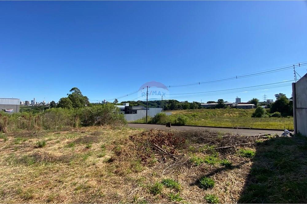 Terreno - Venda - Passo Fundo , Rio Grande do Sul - WhatsApp Image 2026-02-13 at 15.24.11 (1).jpeg - 610271094-26