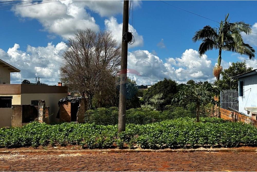 Terreno - Venda - Trindade do Sul , Rio Grande do Sul - WhatsApp Image 2025-02-20 at 16.19.26 (1).jpeg - 610231001-188