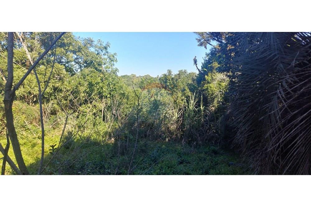 Chácara / Sítio / Fazenda - Venda - Alvorada , Rio Grande do Sul - WhatsApp Image 2025-06-24 at 15.46.52 (5).jpg - 612531061-12