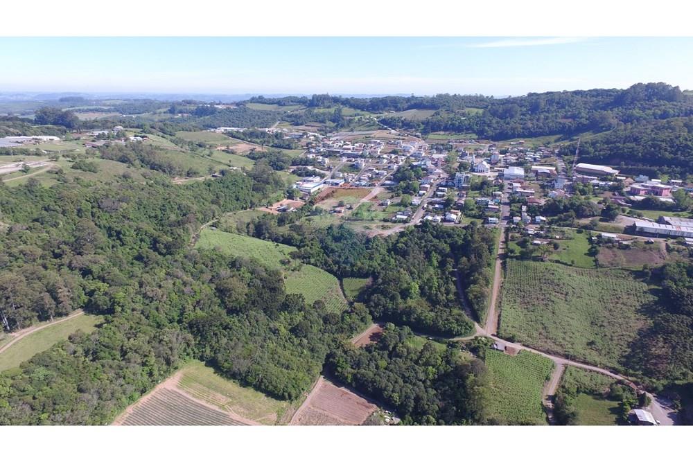 Terreno - Venda - Nova Pádua , Rio Grande do Sul - DJI_00821.jpg - 612551039-219