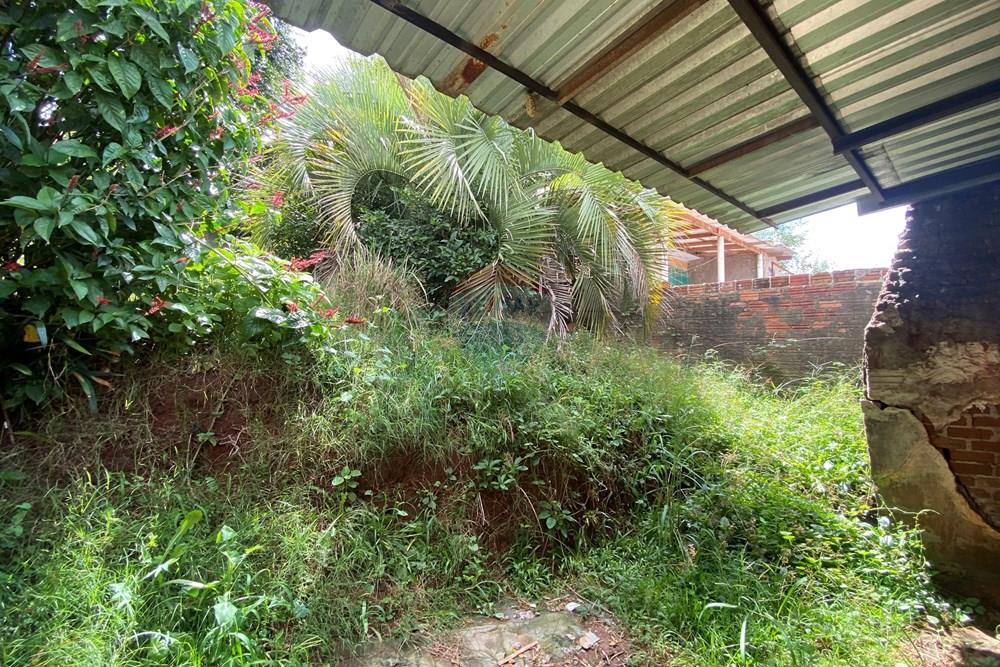 Casa - Alugar - Passo Fundo , Rio Grande do Sul - IMG_2843.jpeg - 610271094-41