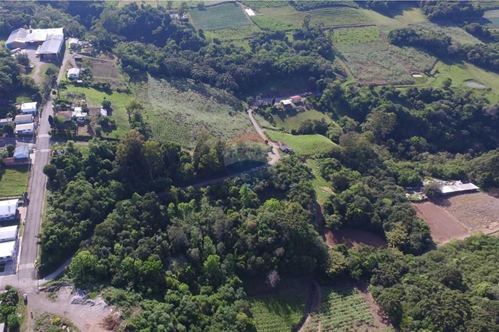 Terreno - Venda - Nova Pádua , Rio Grande do Sul - DJI_00461.jpg - 612551039-219