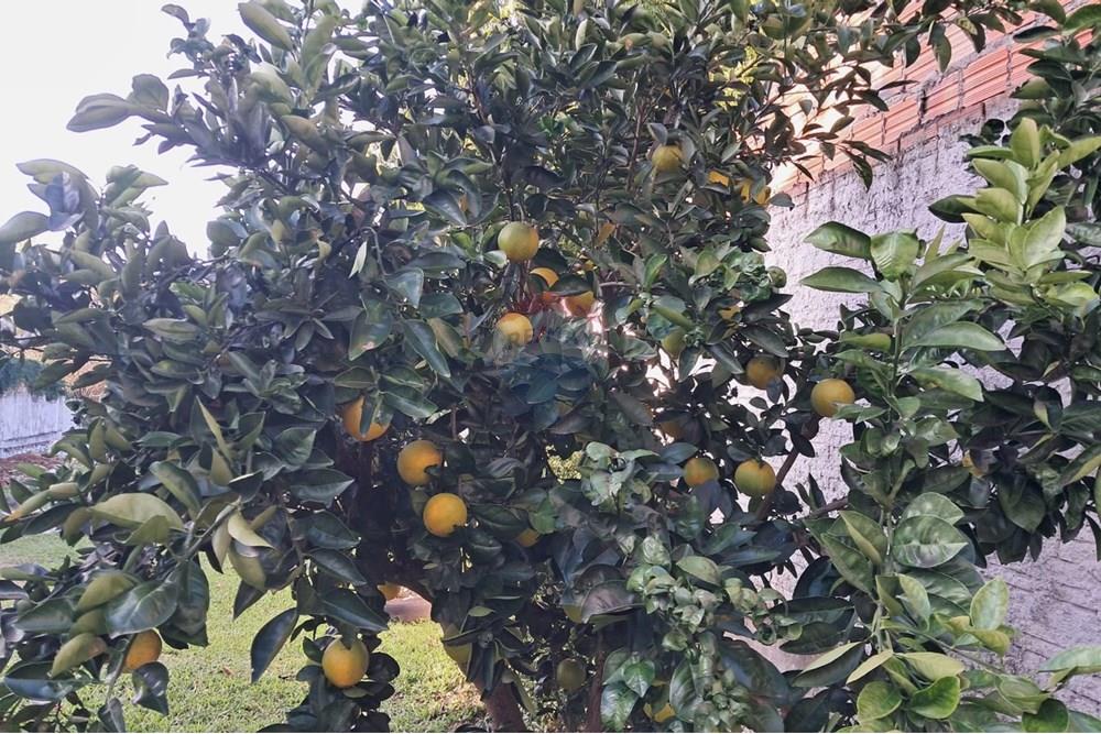 Casa - Venda - Alvorada , Rio Grande do Sul - Imagem do WhatsApp de 2025-05-25 à(s) 14.38.45_295a204b.jpg - 612531034-129