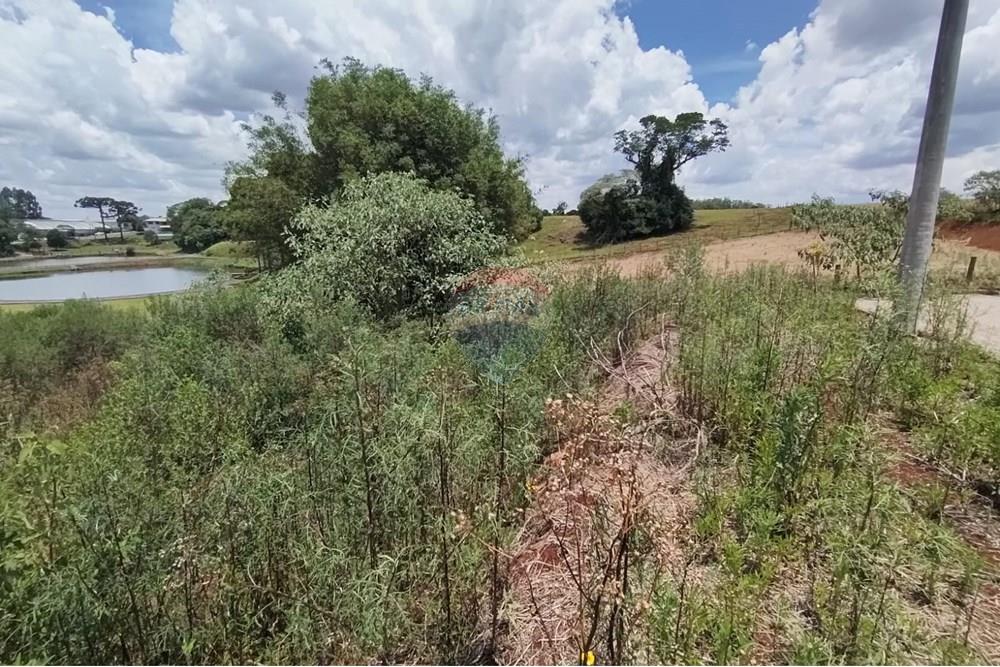 Terreno - Venda - Erechim , Rio Grande do Sul - WhatsApp Image 2025-12-03 at 09.48.09 (3).jpeg - 612761006-64