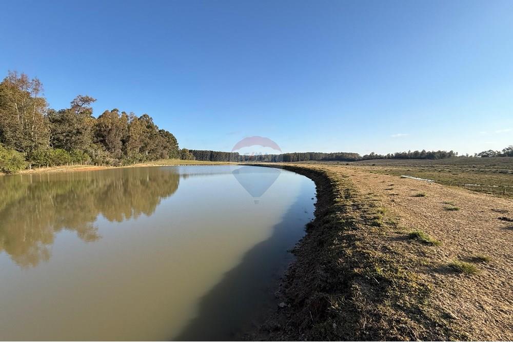 Chácara / Sítio / Fazenda - Venda - São Gabriel , Rio Grande do Sul - 8b1e118c-7923-4053-82cc-b637546e1561.jpeg - 612631037-9