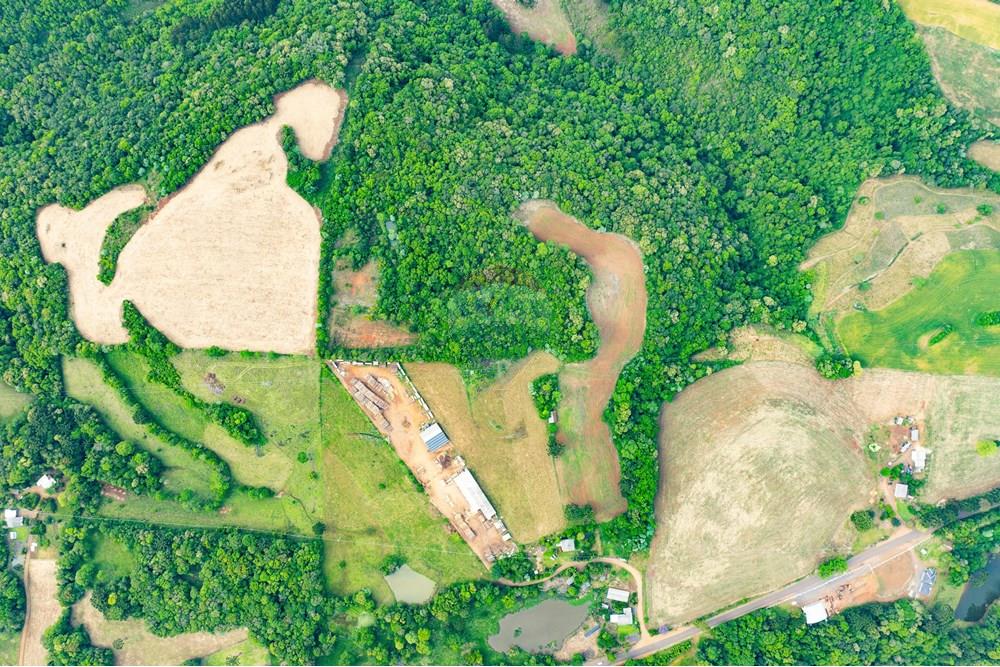 Chácara / Sítio / Fazenda - Venda - Gaurama , Rio Grande do Sul - DJI_0385.jpg - 612761027-16