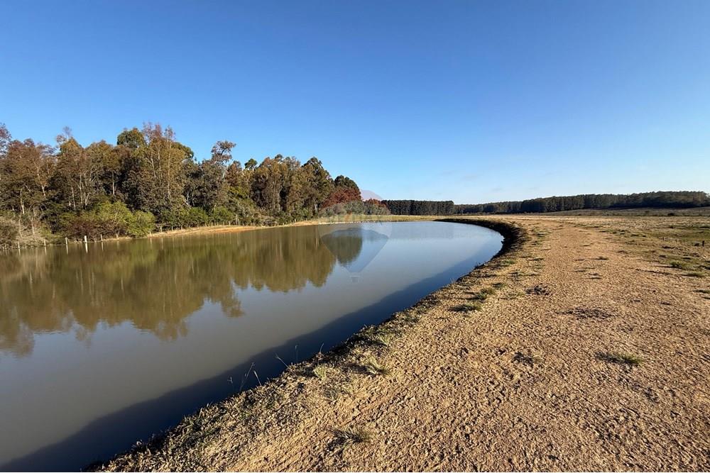 Chácara / Sítio / Fazenda - Venda - São Gabriel , Rio Grande do Sul - 2c4a93a9-1790-4874-ac7e-e71ed7fd4725.jpeg - 612631037-9