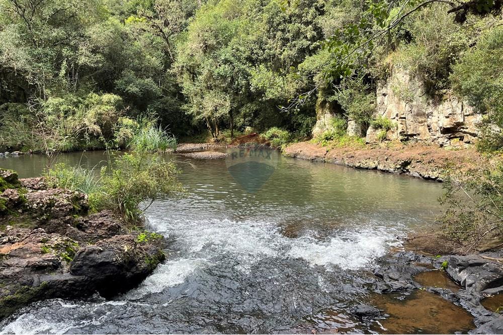 Chácara / Sítio / Fazenda - Venda - Lagoa Vermelha , Rio Grande do Sul - IMG_4197.jpg - 610111017-6