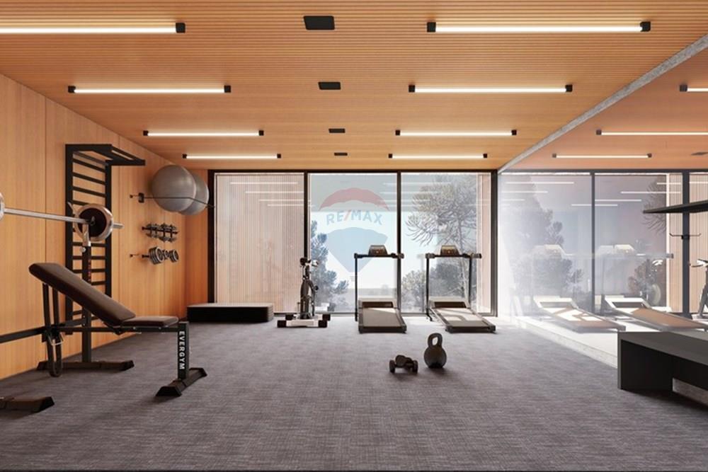 Terreno - Venda - São Francisco de Paula , Rio Grande do Sul - WhatsApp Image 2024-07-30 at 15.33.31.jpeg - 610131041-83