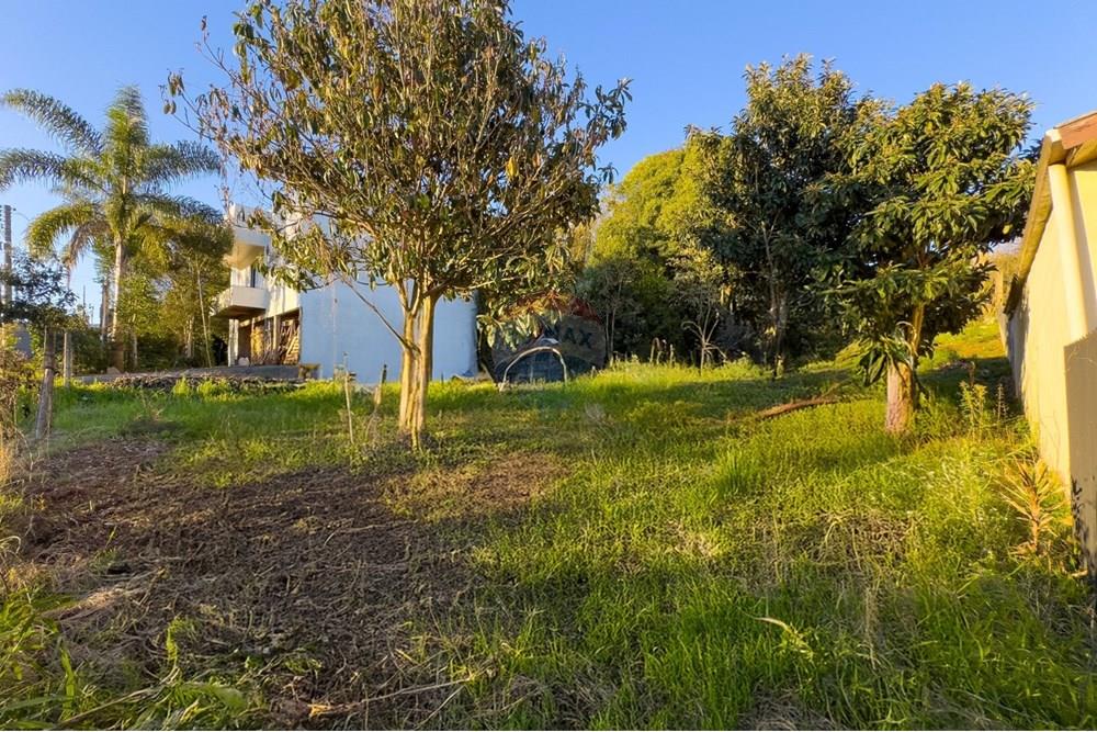 Terreno - Venda - Erechim , Rio Grande do Sul - WhatsApp Image 2025-08-16 at 14.20.07 (2).jpeg - 612761049-1