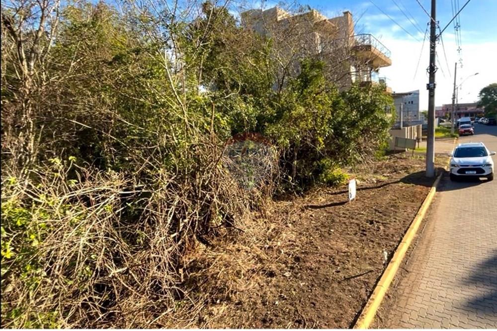 Terreno - Venda - Guaíba , Rio Grande do Sul - Imagem do WhatsApp de 2025-07-25 à(s) 19.59.59_6a9e172c.jpg - 612781019-5