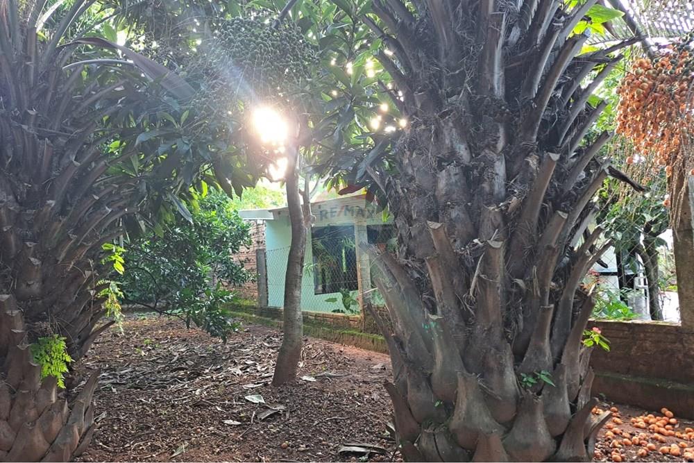 Casa - Venda - Passo Fundo , Rio Grande do Sul - WhatsApp Image 2026-01-21 at 20.43.44.jpeg - 610271103-17