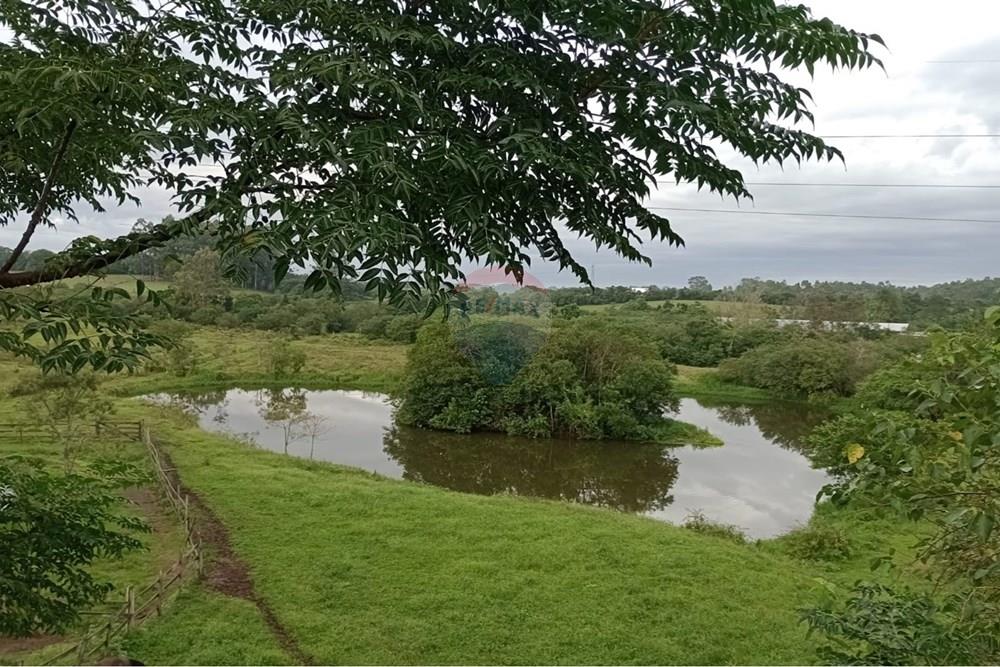 Chácara / Sítio / Fazenda - Venda - Gravataí , Rio Grande do Sul - 9d2f1635-36d7-49c5-a74a-983181f192e3.jpg - 610051035-141