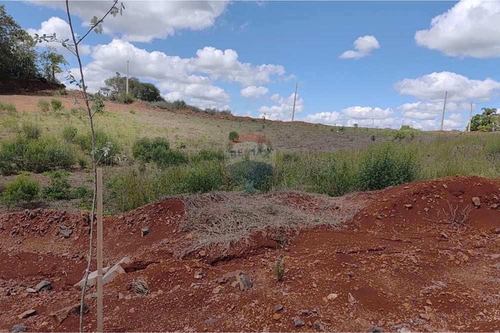 Terreno - Venda - Erechim , Rio Grande do Sul - WhatsApp Image 2026-01-29 at 15.51.12 (1).jpeg - 612761006-68