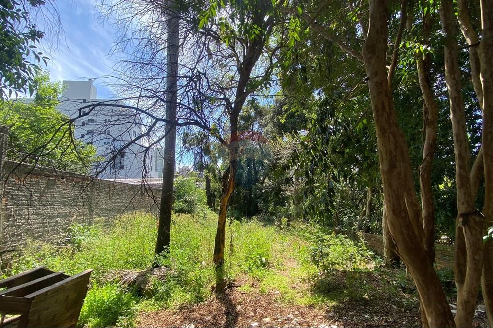 Terreno - Venda - Passo Fundo , Rio Grande do Sul - IMG-20251113-WA0112.jpg - 610271093-30