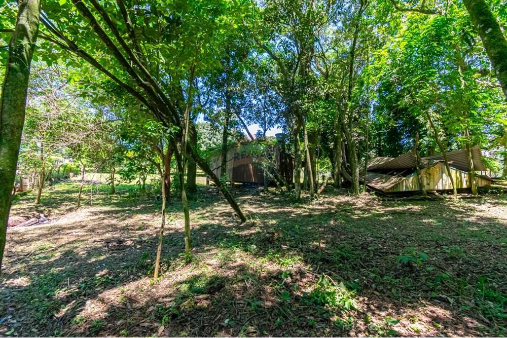 Chácara / Sítio / Fazenda - Venda - Gravataí , Rio Grande do Sul - LRP 8.jpg - 612551082-7