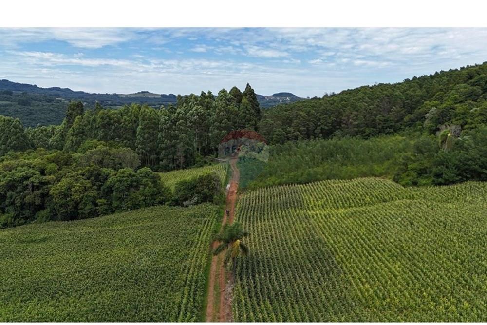 Chácara / Sítio / Fazenda - Venda - Gramado , Rio Grande do Sul - WhatsApp Image 2026-02-24 at 16.26.07 (8).jpeg - 610131034-44