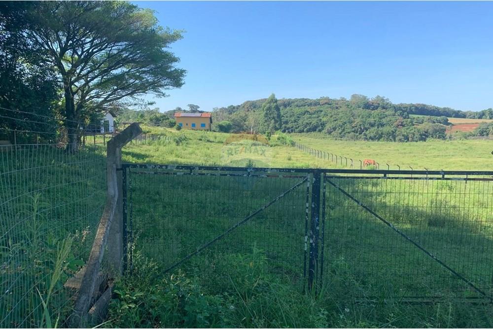 Chácara / Sítio / Fazenda - Venda - Santa Cruz do Sul , Rio Grande do Sul - WhatsApp Image 2025-02-25 at 10.28.24 (4).jpeg - 612741028-20