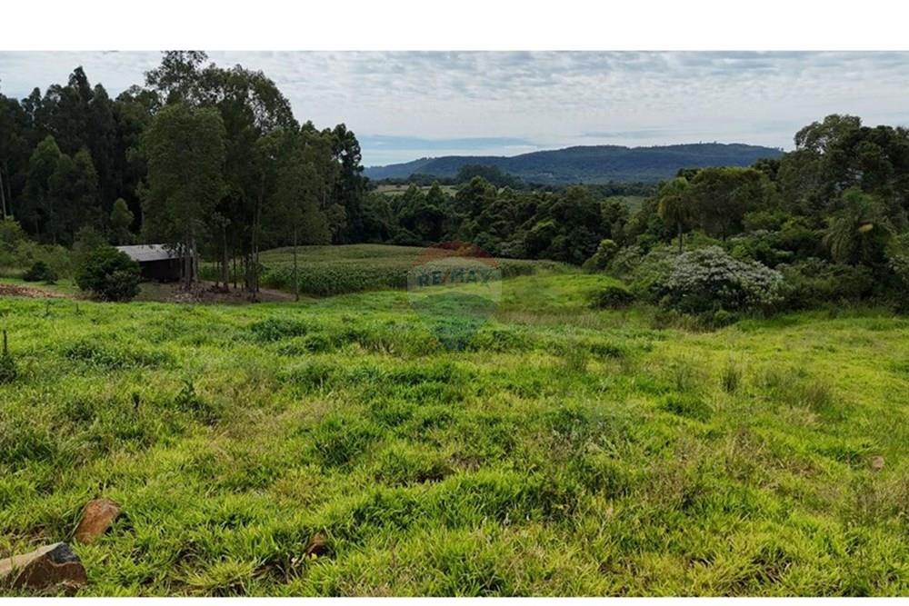 Chácara / Sítio / Fazenda - Venda - Gramado , Rio Grande do Sul - WhatsApp Image 2026-02-24 at 16.26.07 (2).jpeg - 610131034-44