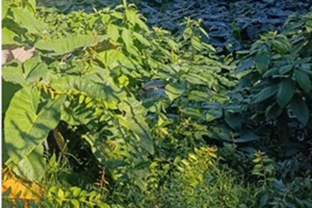 Gyvenamasis - Žemės sklypas - Novo Hamburgo , Rio Grande do Sul - BR - WhatsApp Image 2025-06-26 at 14.43.52.jpeg - 610461003-16