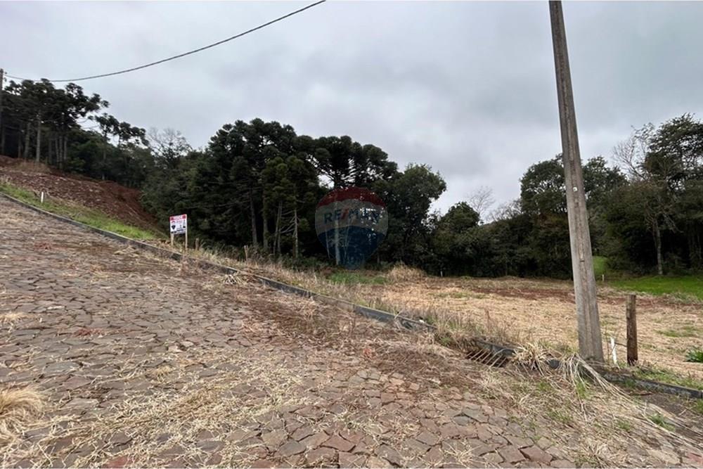 Terreno - Venda - Barão de Cotegipe , Rio Grande do Sul - WhatsApp Image 2025-08-09 at 14.36.34.jpeg - Fachada - 612761035-7
