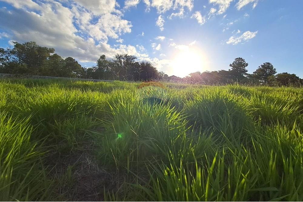 Terreno - Venda - Viamão , Rio Grande do Sul - Imagem do WhatsApp de 2025-03-13 à(s) 15.17.24_8f234944.jpg - 612531034-104