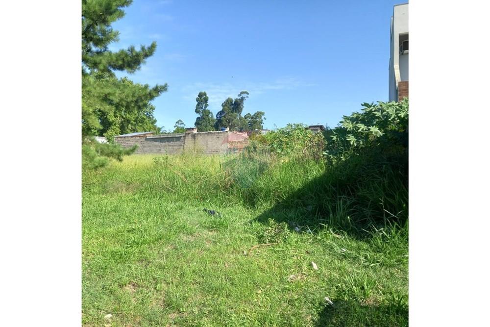 Terreno - Venda - Gravataí , Rio Grande do Sul - WhatsApp Image 2026-01-29 at 15.41.53 (2).jpeg - 610141011-87