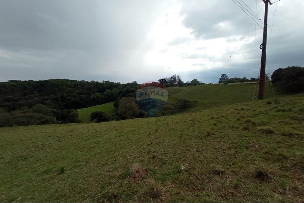 Chácara / Sítio / Fazenda - Venda - Sarandi , Rio Grande do Sul - WhatsApp Image 2025-09-22 at 10.39.33.jpeg - 610341020-14