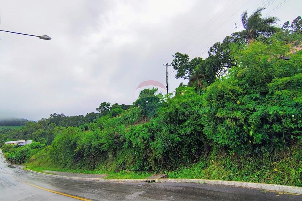 Terreno - Venda - Coronel Pilar , Rio Grande do Sul - WhatsApp Image 2025-12-30 at 11.22.23 (6).jpeg - 610331038-184