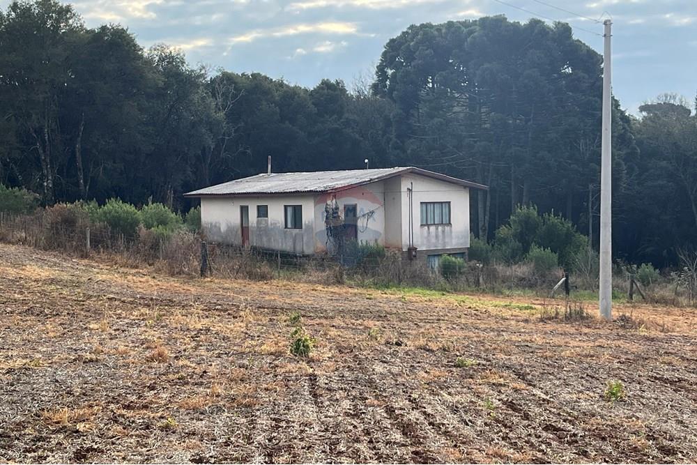 Fazenda - Venda - Lagoa Vermelha , Rio Grande do Sul - IMG_2525.JPG - 610111017-1