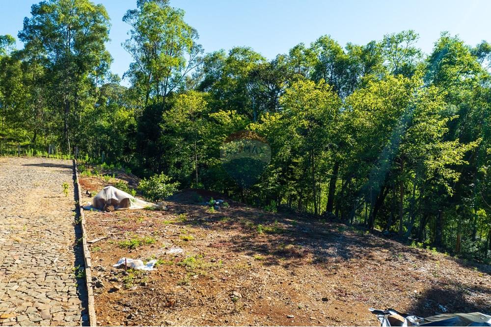 Terreno - Venda - Erechim , Rio Grande do Sul - DJI_0734.jpg - 612761012-20