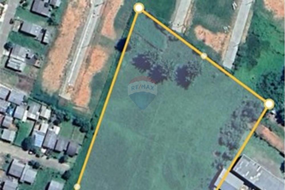 Chácara / Sítio / Fazenda - Venda - Glorinha , Rio Grande do Sul - IMG-20250403-WA0111.jpg - 610161100-29