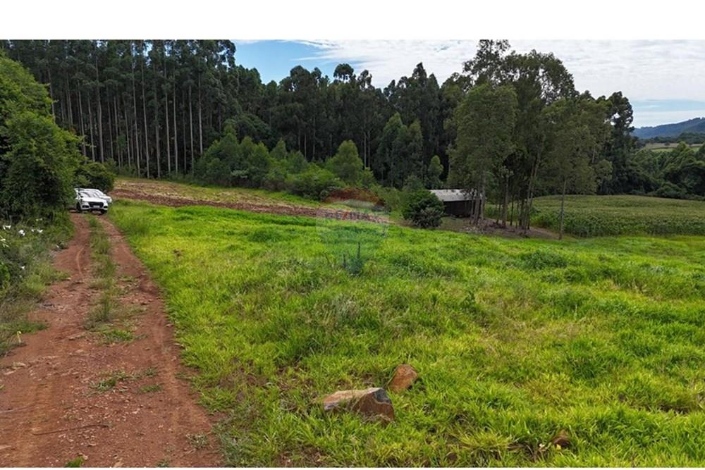 Chácara / Sítio / Fazenda - Venda - Gramado , Rio Grande do Sul - WhatsApp Image 2026-02-24 at 16.26.07.jpeg - 610131034-44