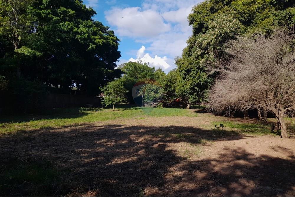 Terreno - Venda - Porto Alegre , Rio Grande do Sul - WhatsApp Image 2025-03-21 at 16.28.44.jpeg - 612551008-93