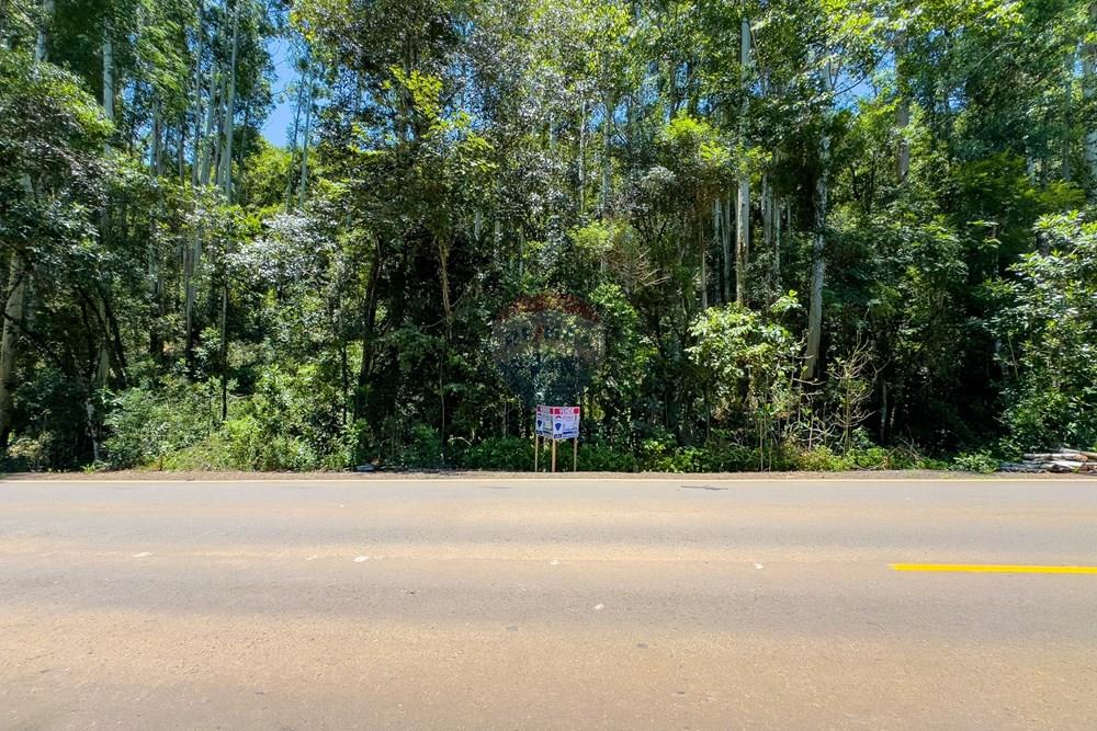 Terreno - Venda - Severiano de Almeida , Rio Grande do Sul - IMG_8514.jpg - 612761027-22