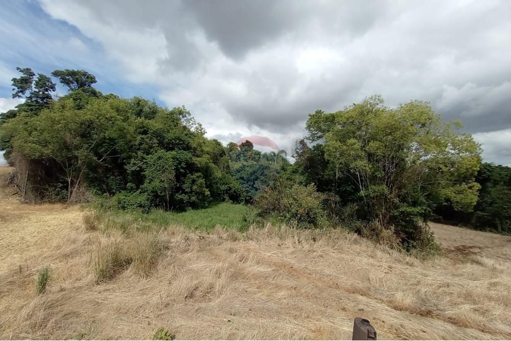 Chácara / Sítio / Fazenda - Venda - Sarandi , Rio Grande do Sul - WhatsApp Image 2025-11-26 at 16.01.40 (1).jpeg - 610341020-16