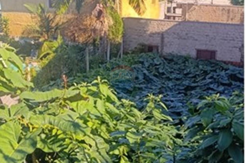 Gyvenamasis - Žemės sklypas - Novo Hamburgo , Rio Grande do Sul - BR - WhatsApp Image 2025-06-26 at 14.43.53.jpeg - 610461003-16