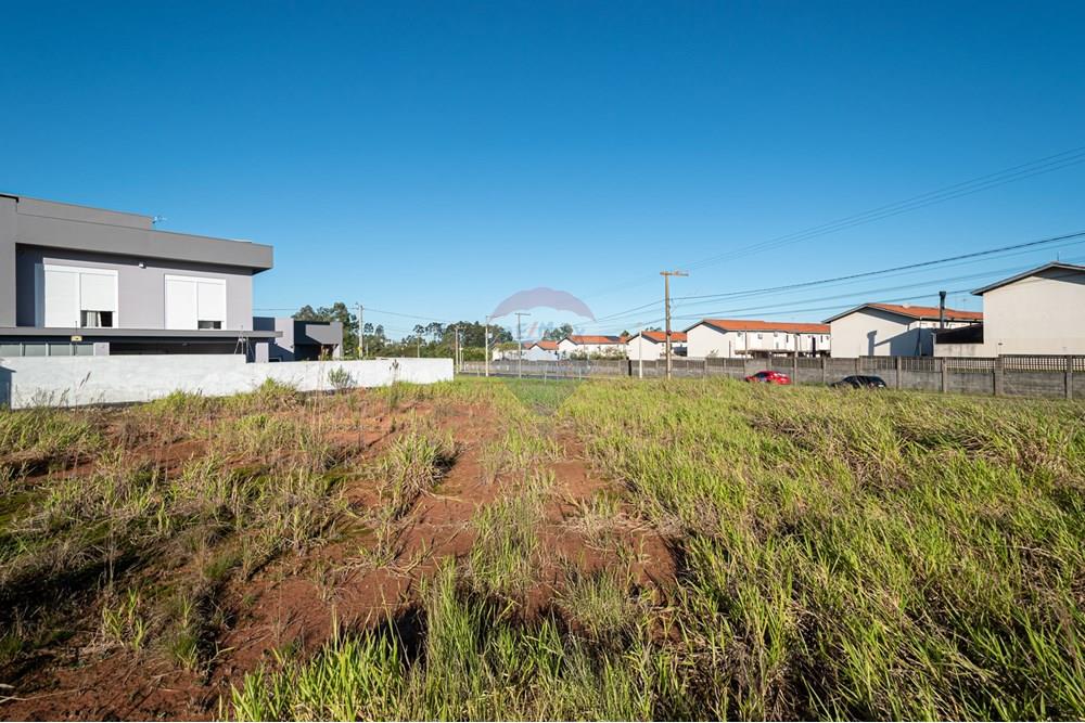 Terreno - Venda - Novo Hamburgo , Rio Grande do Sul - DSC_3185-7209.jpg - 610261015-43