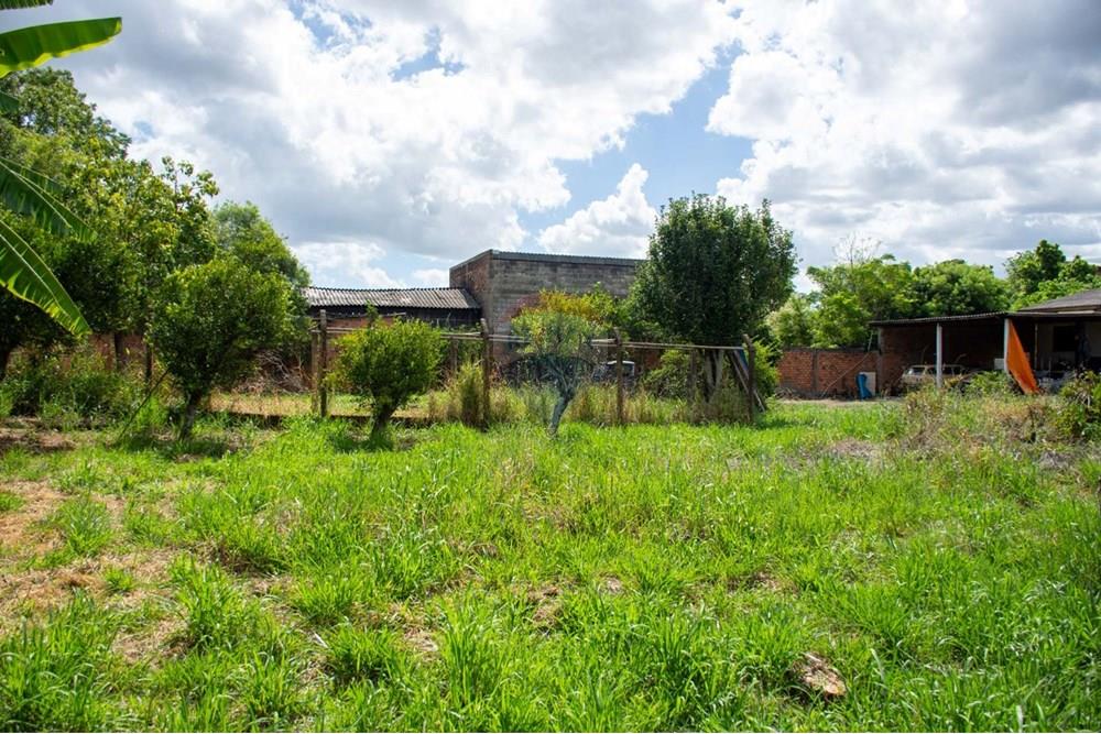 Casa Comercial - Venda - Cachoeirinha , Rio Grande do Sul - WhatsApp Image 2025-02-14 at 17.13.27.jpeg - 612551008-91