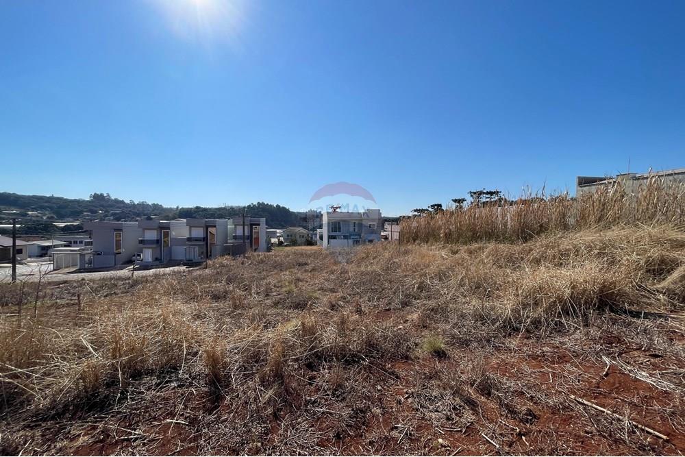 Terreno - Venda - Erechim , Rio Grande do Sul - WhatsApp Image 2025-07-14 at 16.40.45.jpeg - 612761012-8