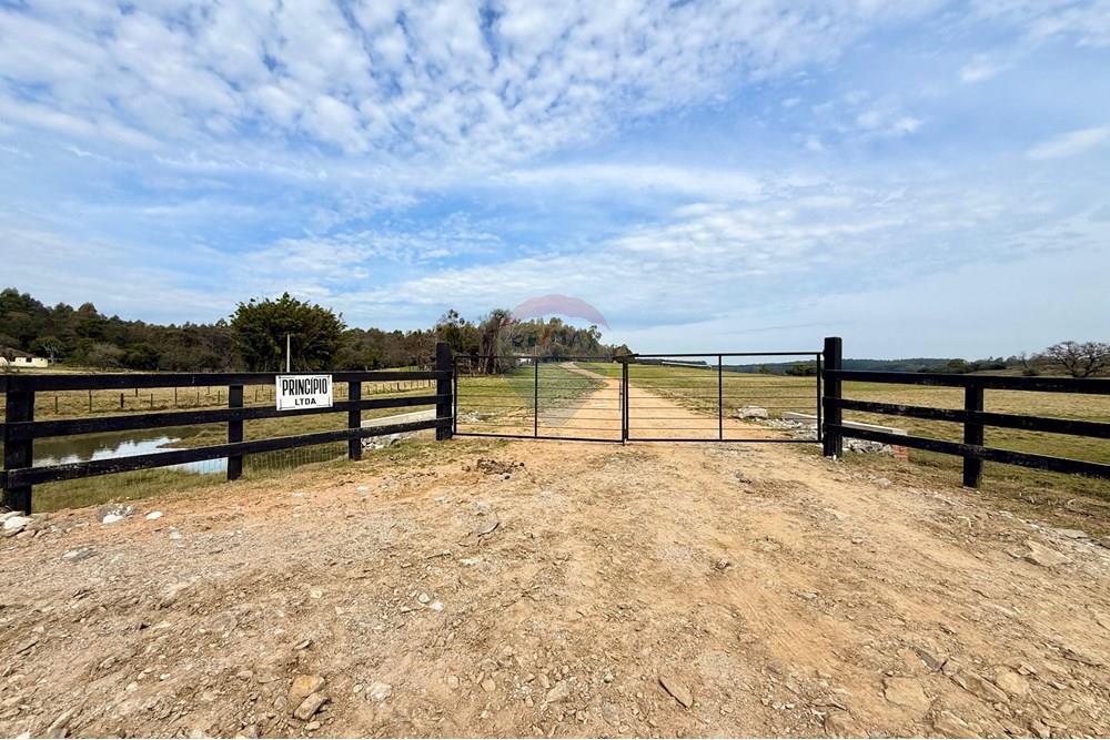 Chácara / Sítio / Fazenda - Venda - São Gabriel , Rio Grande do Sul - 3a2b7f94-44b9-4e3f-8af3-ec04eb734f4c.jpeg - 612631037-9