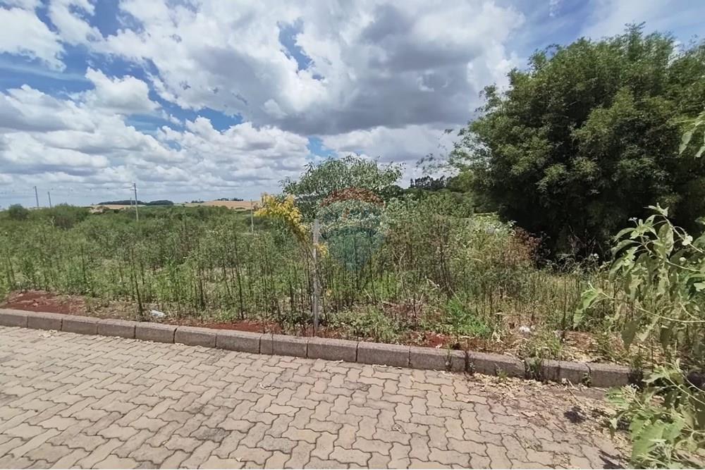 Terreno - Venda - Erechim , Rio Grande do Sul - WhatsApp Image 2025-12-03 at 09.48.07 (1).jpeg - 612761006-64